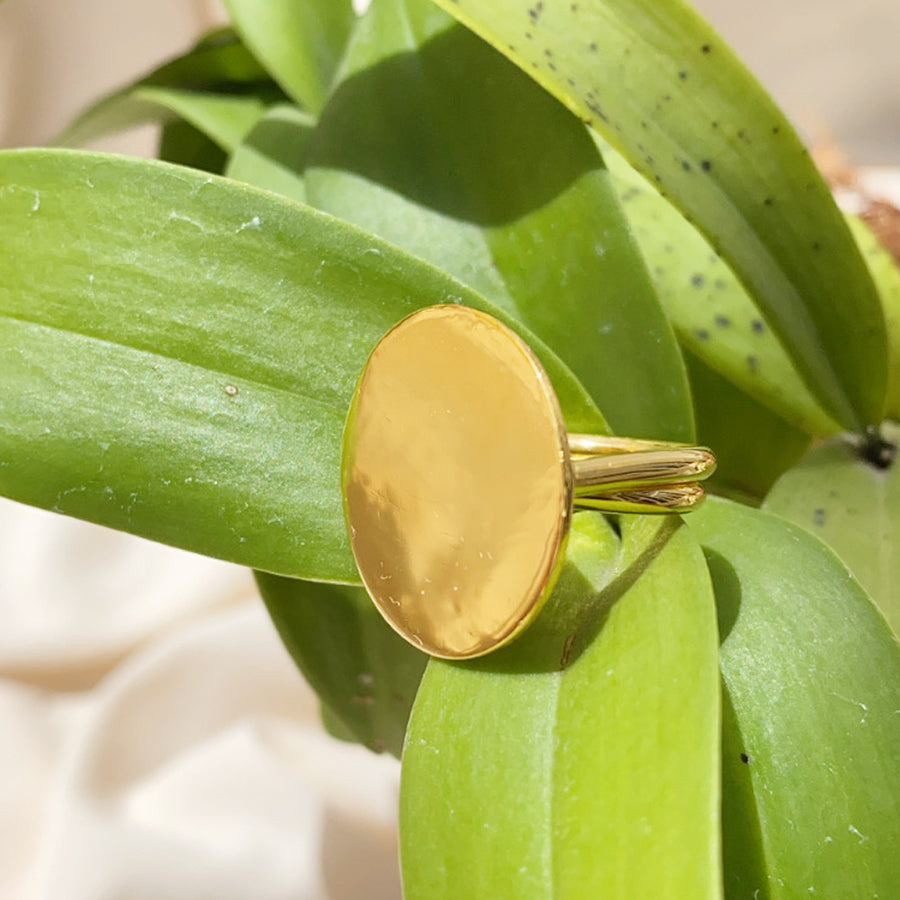 Large Mirrored Penny Ring